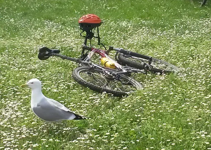 Istriana Apartman Poreč